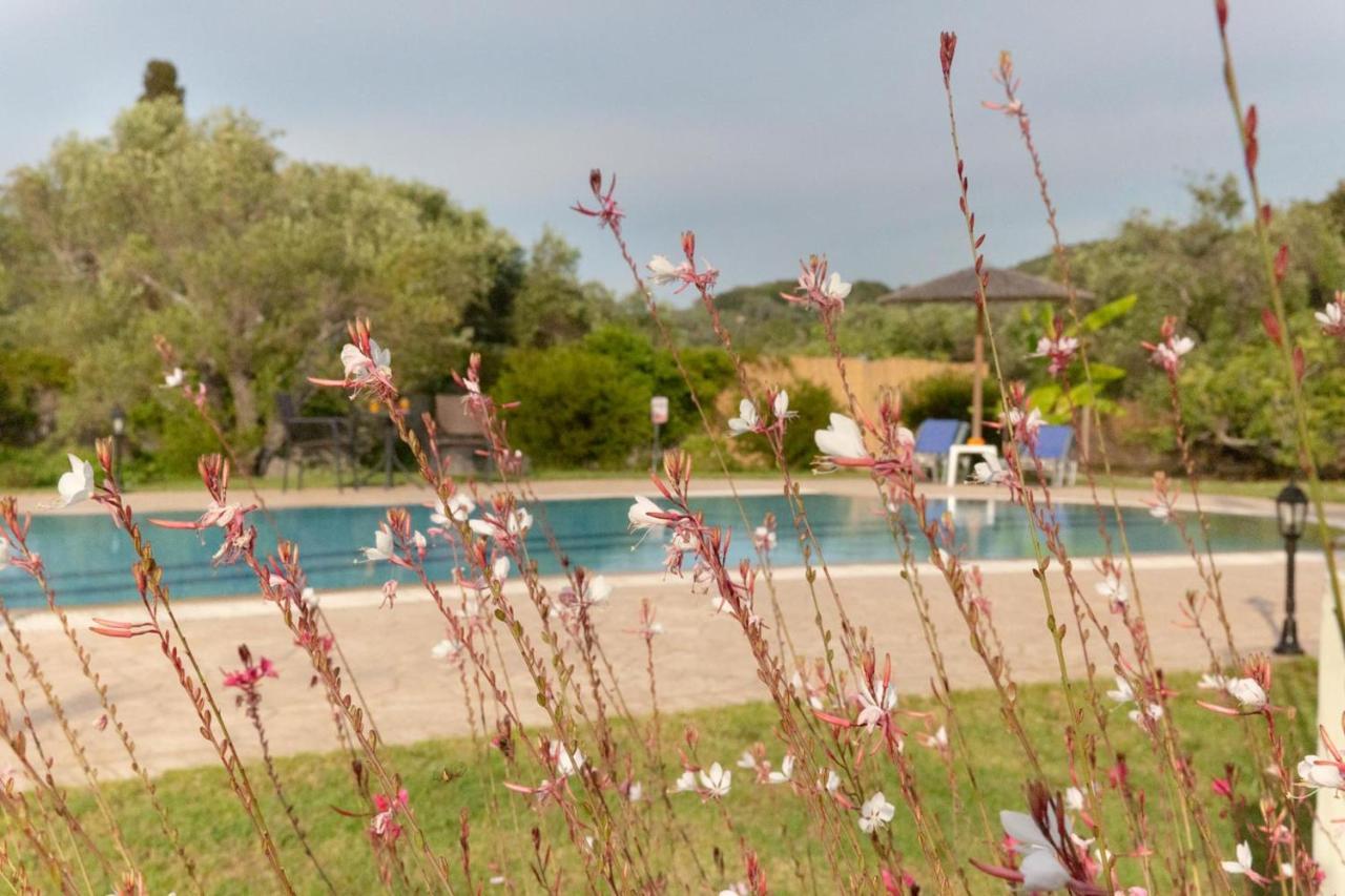 Villa Adonis CChalikounas Buitenkant foto